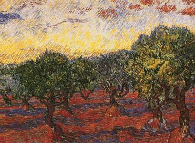 Vincent Van Gogh Olive Grove China oil painting art